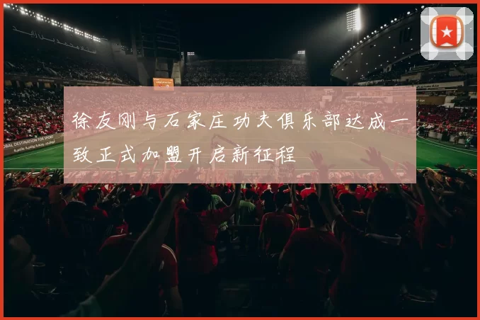 徐友刚与石家庄功夫俱乐部达成一致正式加盟开启新征程