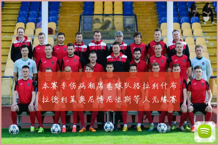 本赛季伤病潮席卷球队格拉利什布拉德利莱奥尼博尼法斯等人无缘赛季余下比赛